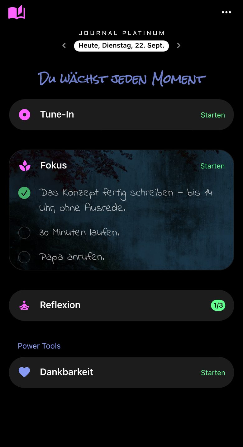 Journal Platinum, Bildschirm 1