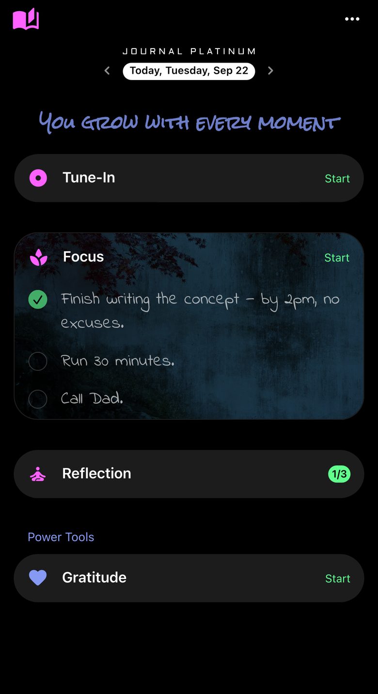 Journal Platinum, screen 1